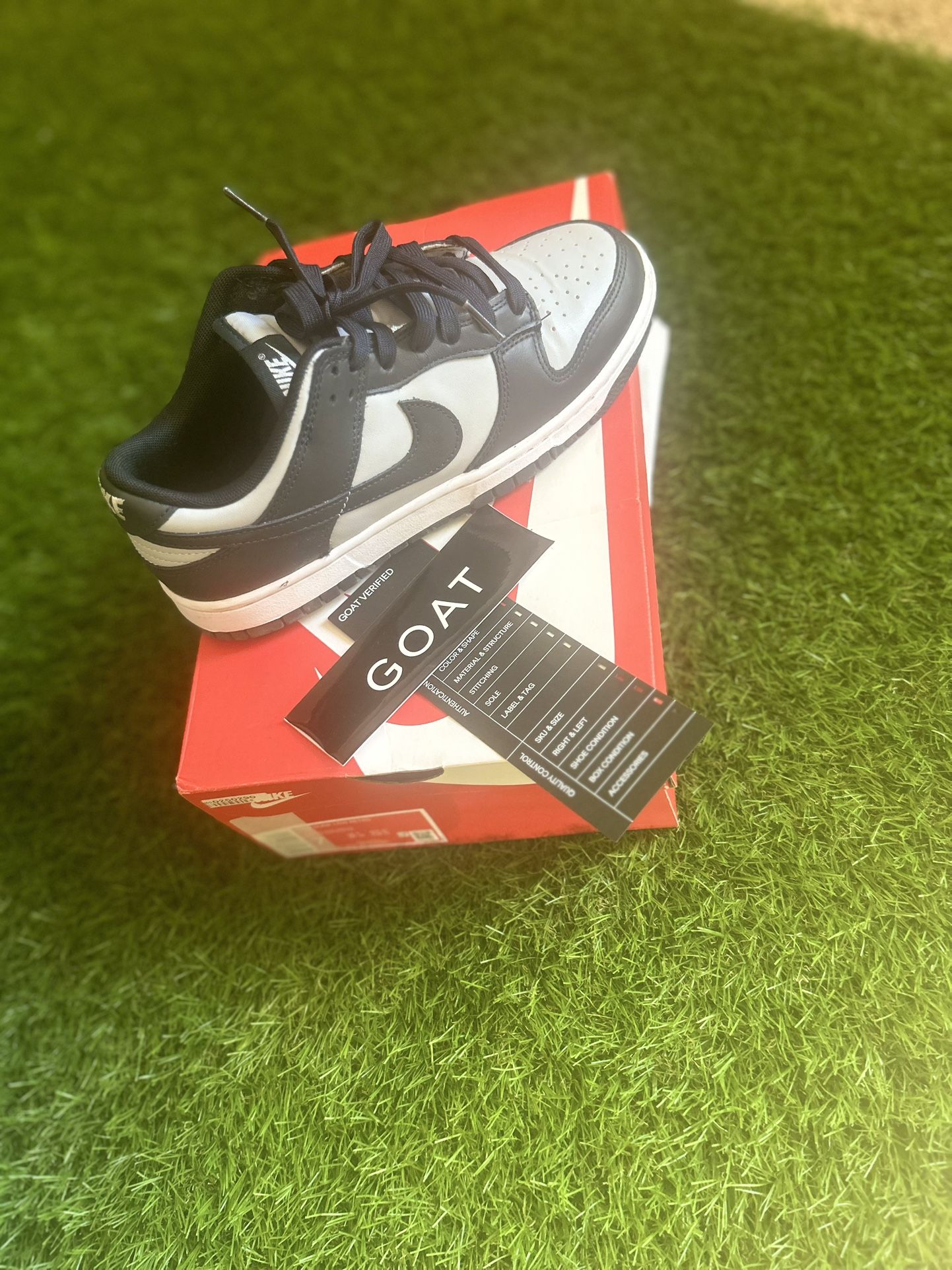 Dunk Low ‘Georgetown’