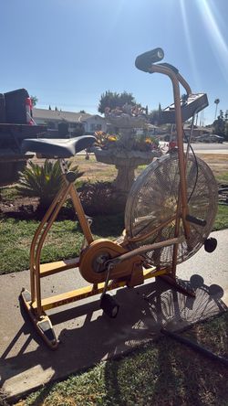 Schwinn Air  Dyne