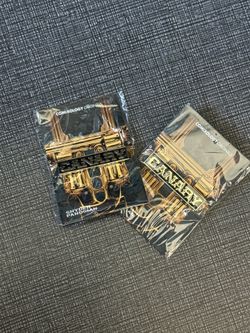 Lot of 2 Canary Pins