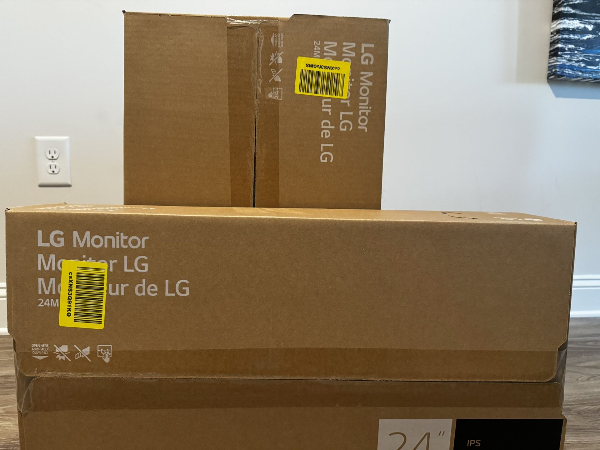 Dual LG Monitor Setup