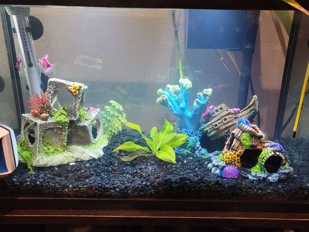 10 gallon Fish Tank