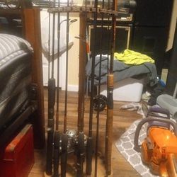 Fishing Pole Display With Several Trout Rods,Steelhead And Salmon Rods And Fly Rod 3 Reels And A 5 Piece Pack Rod  150 For All