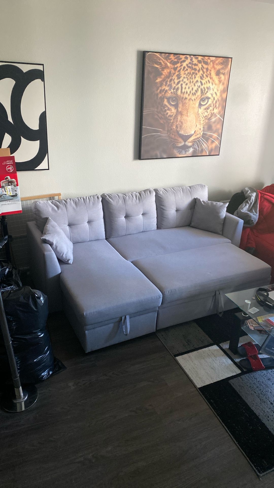 ✨✨✨Couch With Fold Out Bed And Storage Compartment ✨✨✨