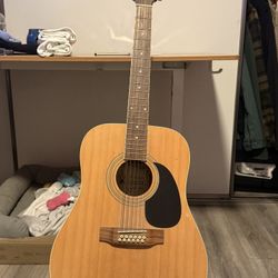 12 String Guitar (Palmer)
