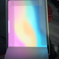 Ipad Pro 11 M4 256GB 
