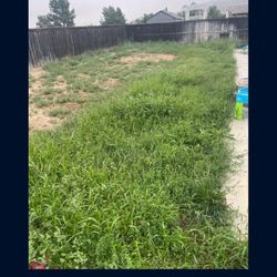 Maintenance Clean Up 