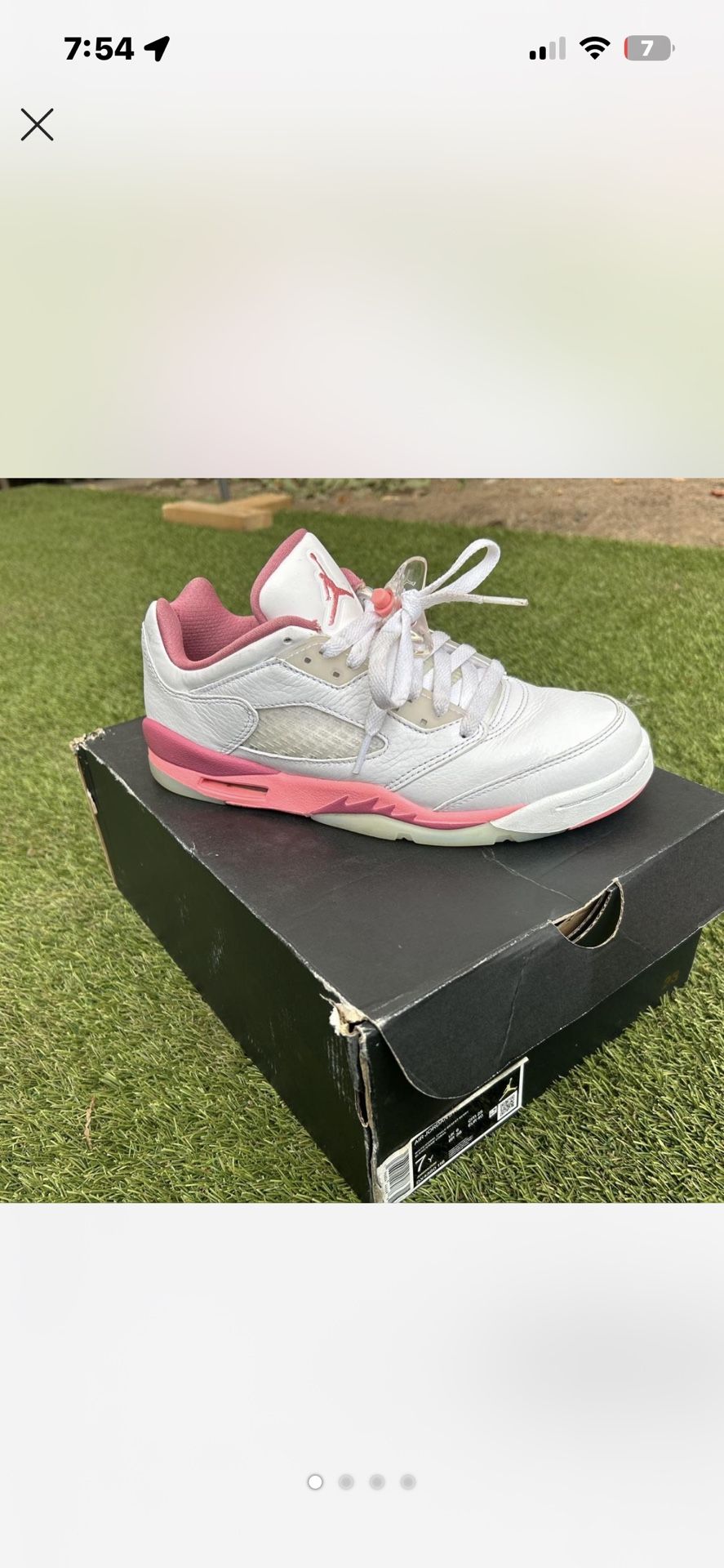 Jordan 5s Lows