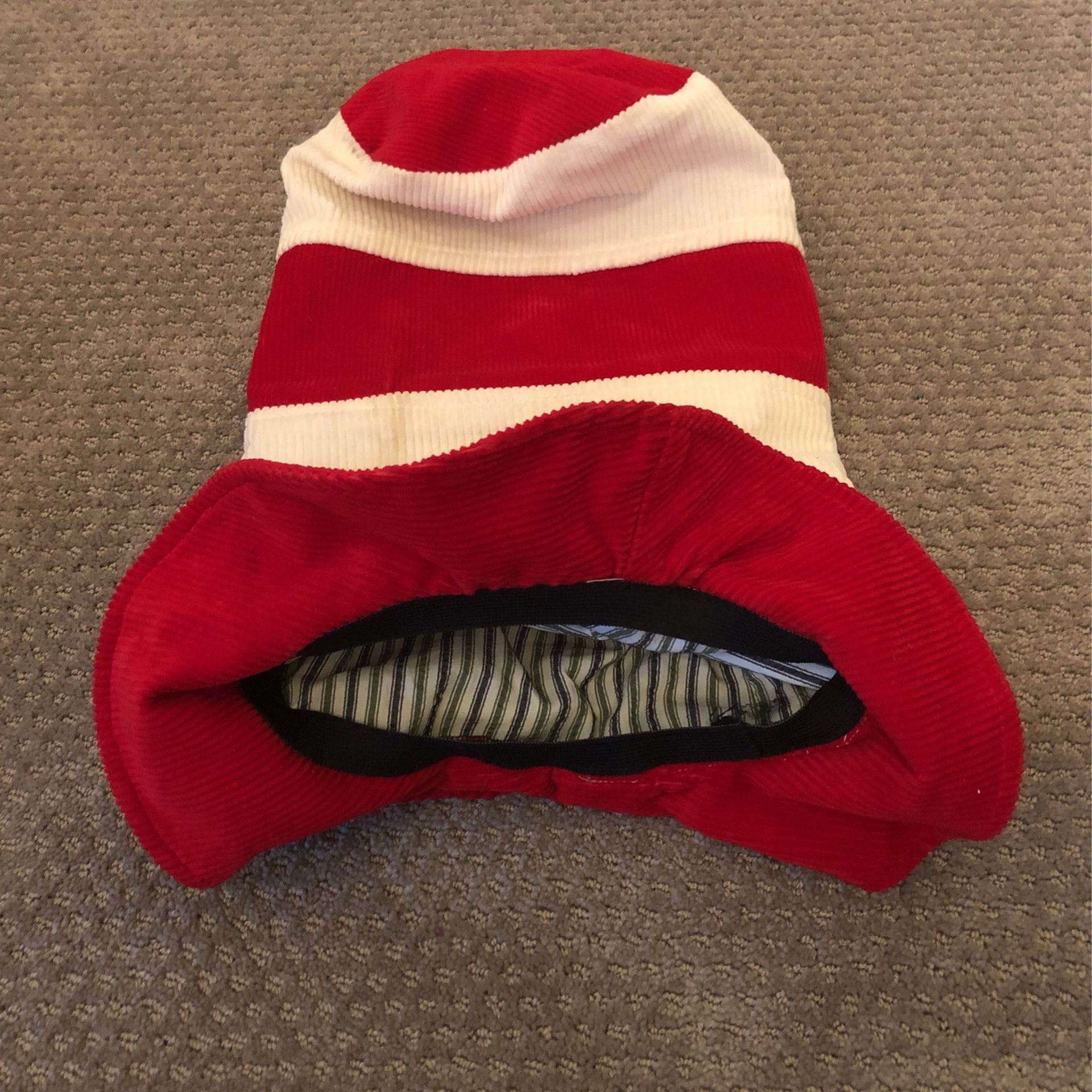 Tall Dr Seuss Custome Made Halloween Costume Hat