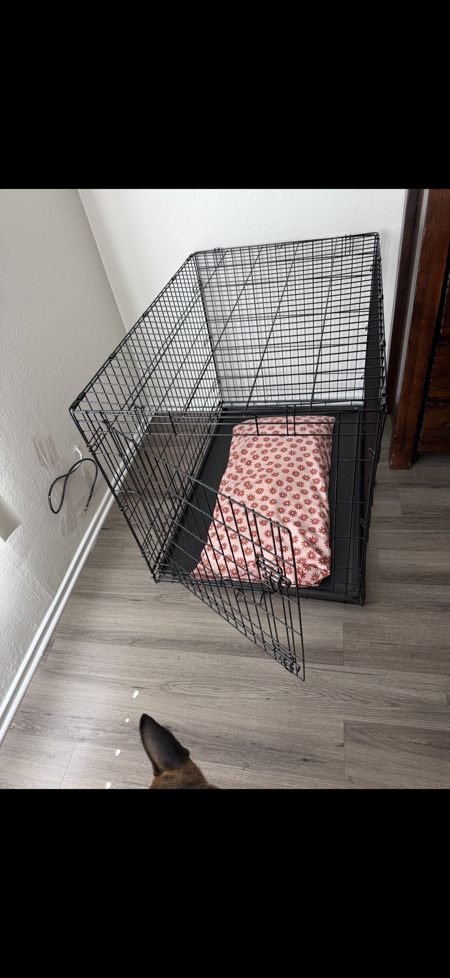 XL Dog Crate 