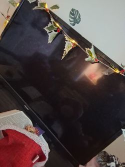 Philips roku  tv