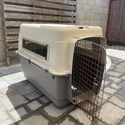 Large Dog Kennel