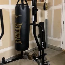 Everlast Dual 2-Station Heavy Bag Stand