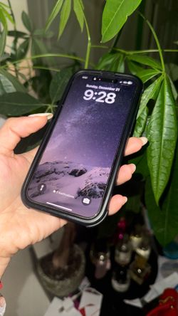 iPhone 16 Pro + Charging Case