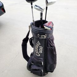 Callaway golf Bag $80