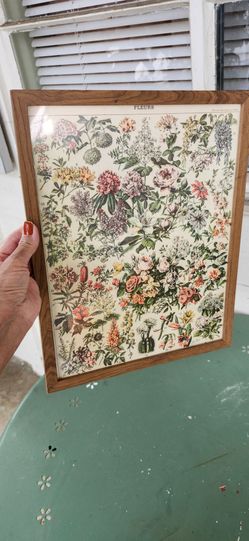 Adolphe Millot's Vintage Fleurs Botanical Framed Poster