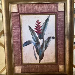 Heliconia Framed Art