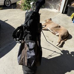 Golf Clubs 