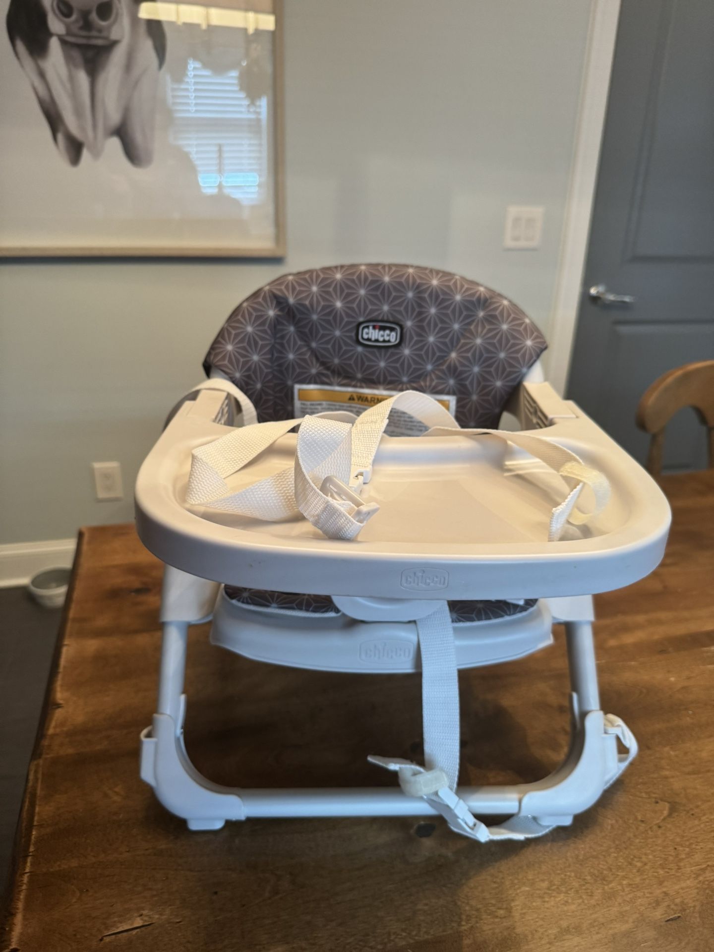 Toddler Booster Seat 