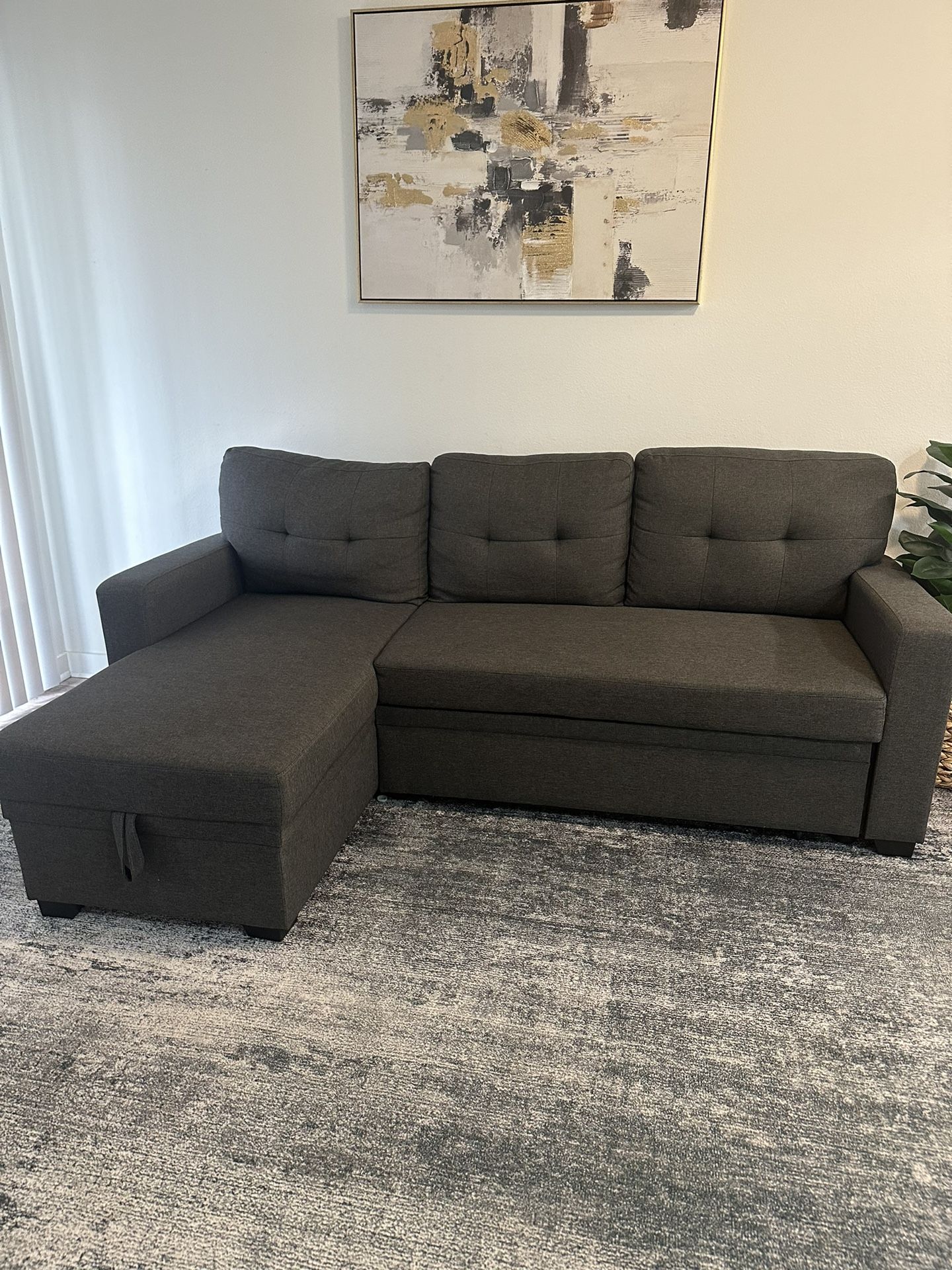 Couch with pullout bed and storage