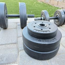 Weights Dumbbells 