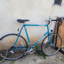 Raleigh Technium 450