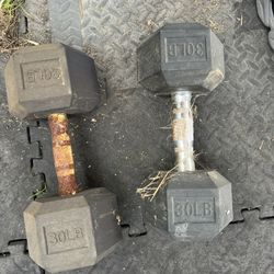 30 Pound Dumbbells 