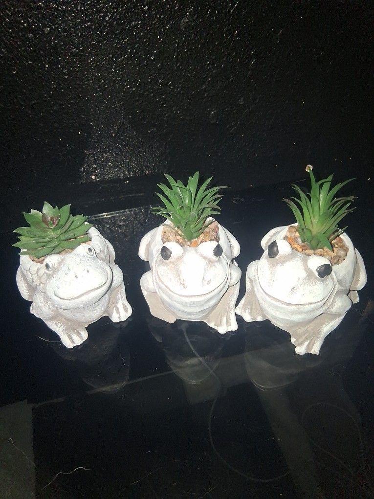Forever Rely On GOD Frog Pots