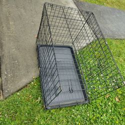 Medium Kennel