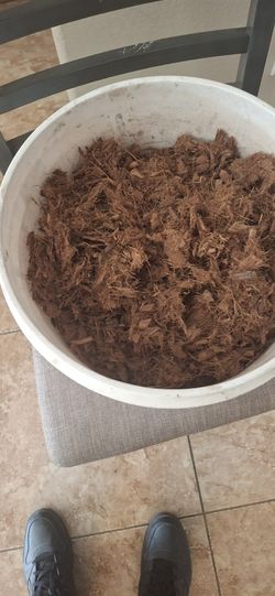 Coco Coir