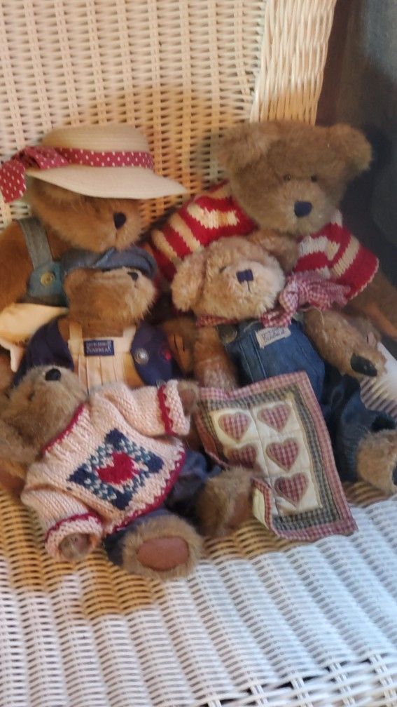 5 Bailey Bear's A Collection Wearing Bare Wear!