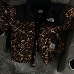 North Face Jacket 