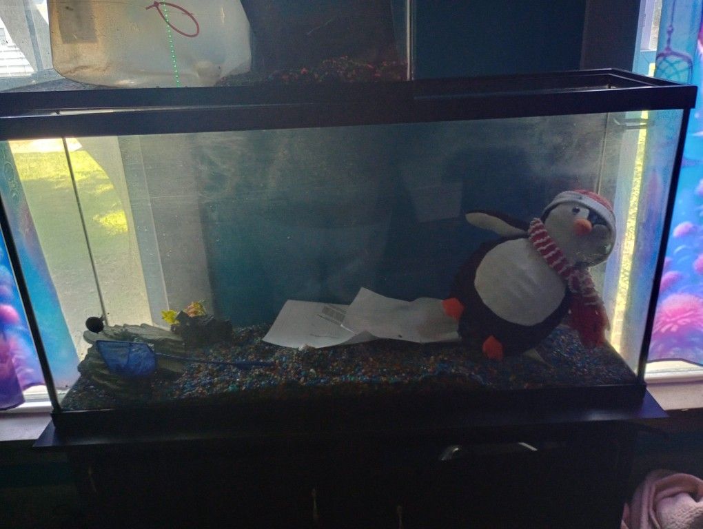 70 Gallon Fish Tank With Accessories