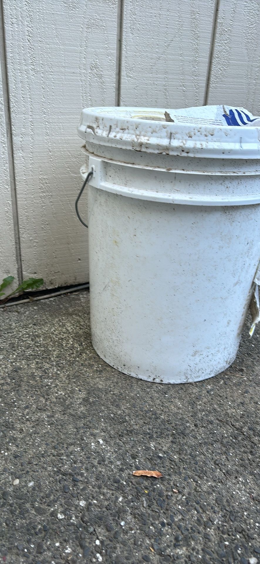 Primer Lastomeric Melastic. For Stucco Or Concrete