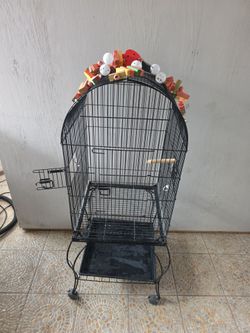 Birdcage