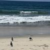 Sunny San Diego