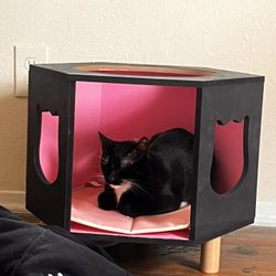 Cat Box For Sale!