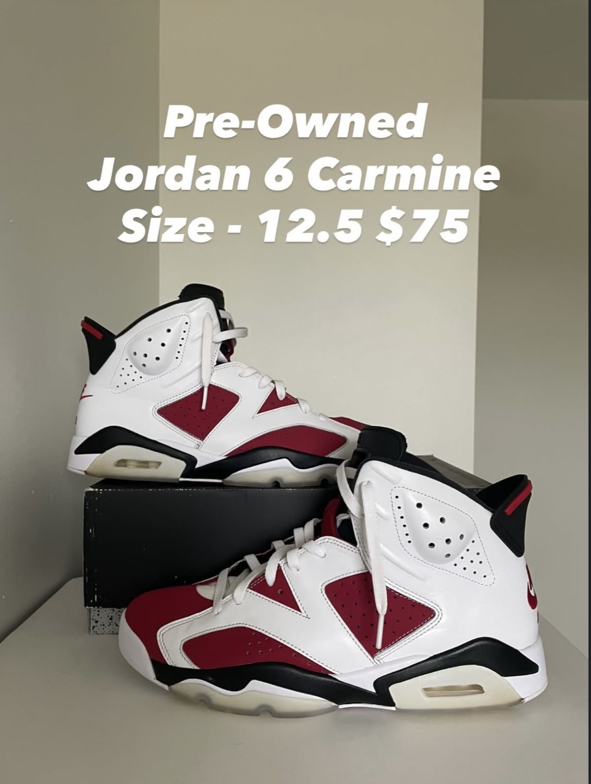 Jordan 6 Carmine Size 12.5