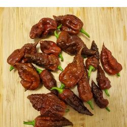 Big Black Mama Pepper Seeds (15)