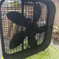 Holmes box fan with 3 speed settings. Works and blows air.
