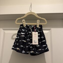 Mola Mola Boys Swim Trunks
