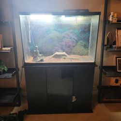 Fish Tank With Stand