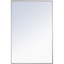 Monet 42 X 28 inch Silver Wall Mirror