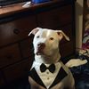 Billy