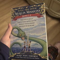 Merlin Mission