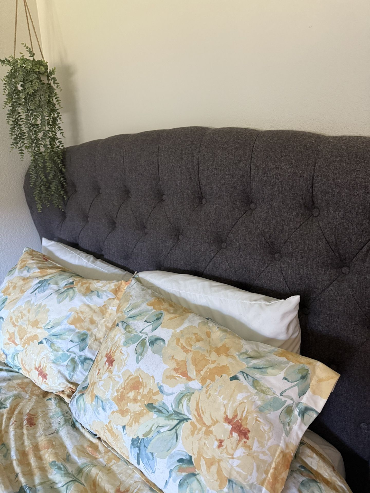 Queen Size Bed Set - Mattress, Box Spring + Headboard