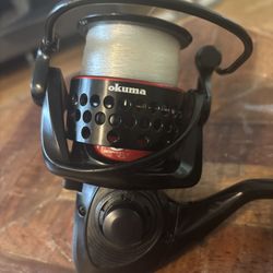 Fishing Reel