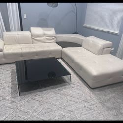 Leather Sectional Couch 