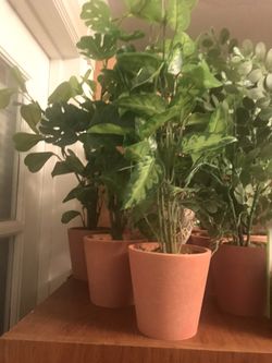 Small decorative artificial plants/each $10