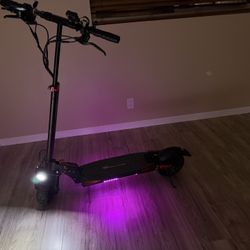 800W evercross E scooter 