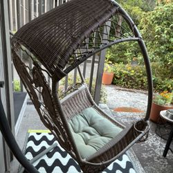 Hanging Egg Chair 